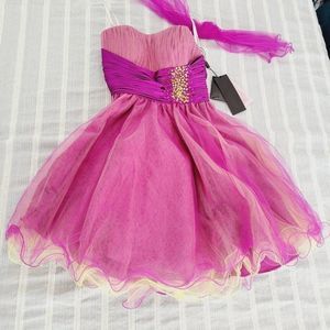 Colors Dress Womens Fuchsia Strapless Tulle Dress With Tulle Shaw Size 6 - Prom
